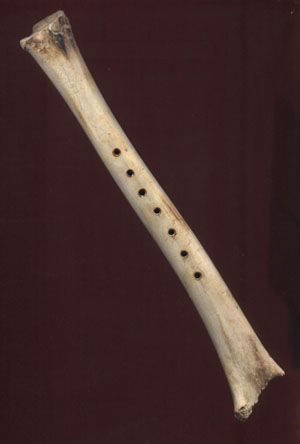 Flute.bone.jpg