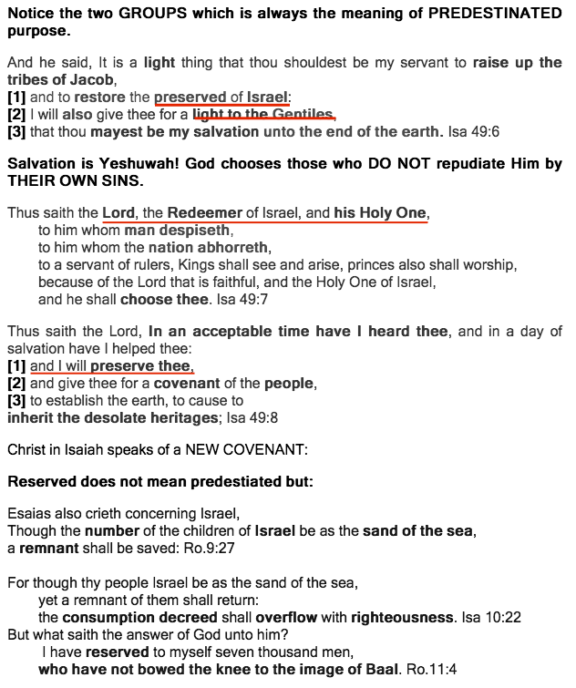 Jackie.Halstead.Isaiah.49.Preserved.RemnantA.gif