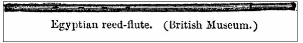 Reed.Pipe.Egyptian.gif