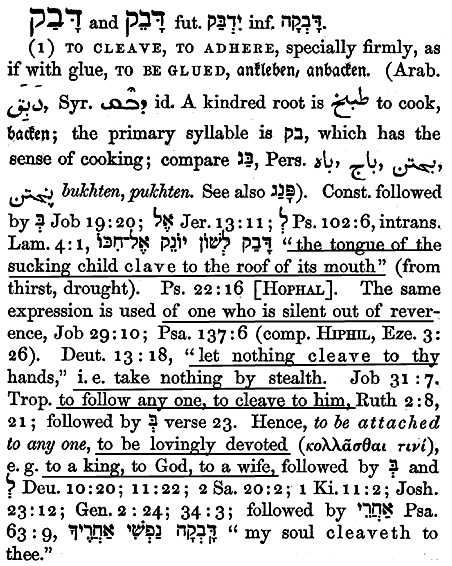 h1692.Cleave.Short.jpg